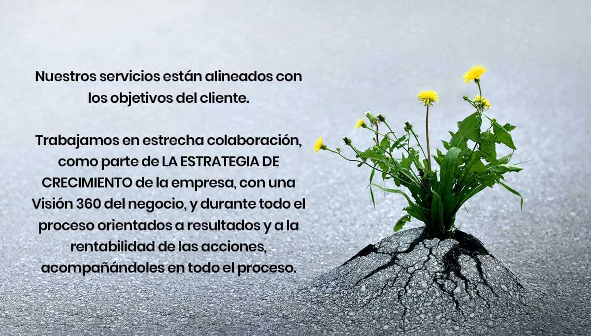 Servicios Sinergias e Innovación